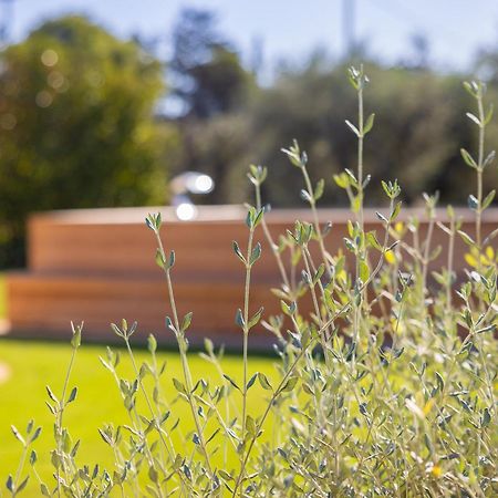 טורה סן ג'ובאני אוג'נטו Dimora Tenuta Solentino מראה חיצוני תמונה