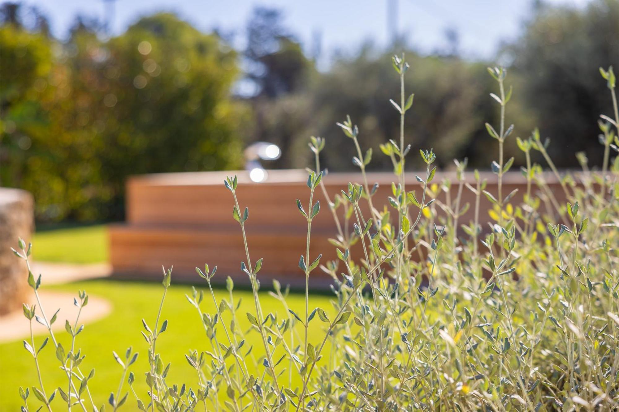 טורה סן ג'ובאני אוג'נטו Dimora Tenuta Solentino מראה חיצוני תמונה