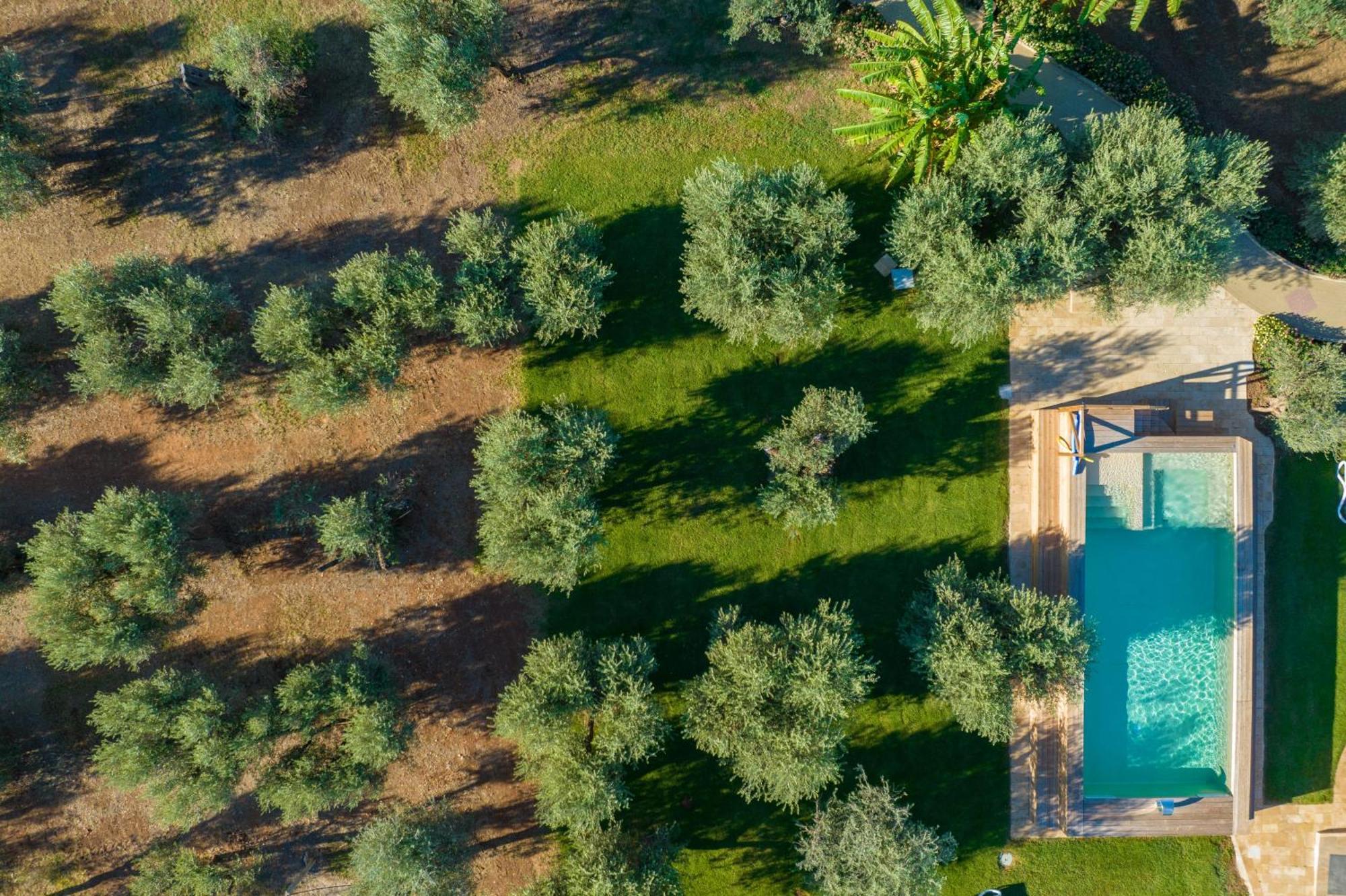 טורה סן ג'ובאני אוג'נטו Dimora Tenuta Solentino מראה חיצוני תמונה