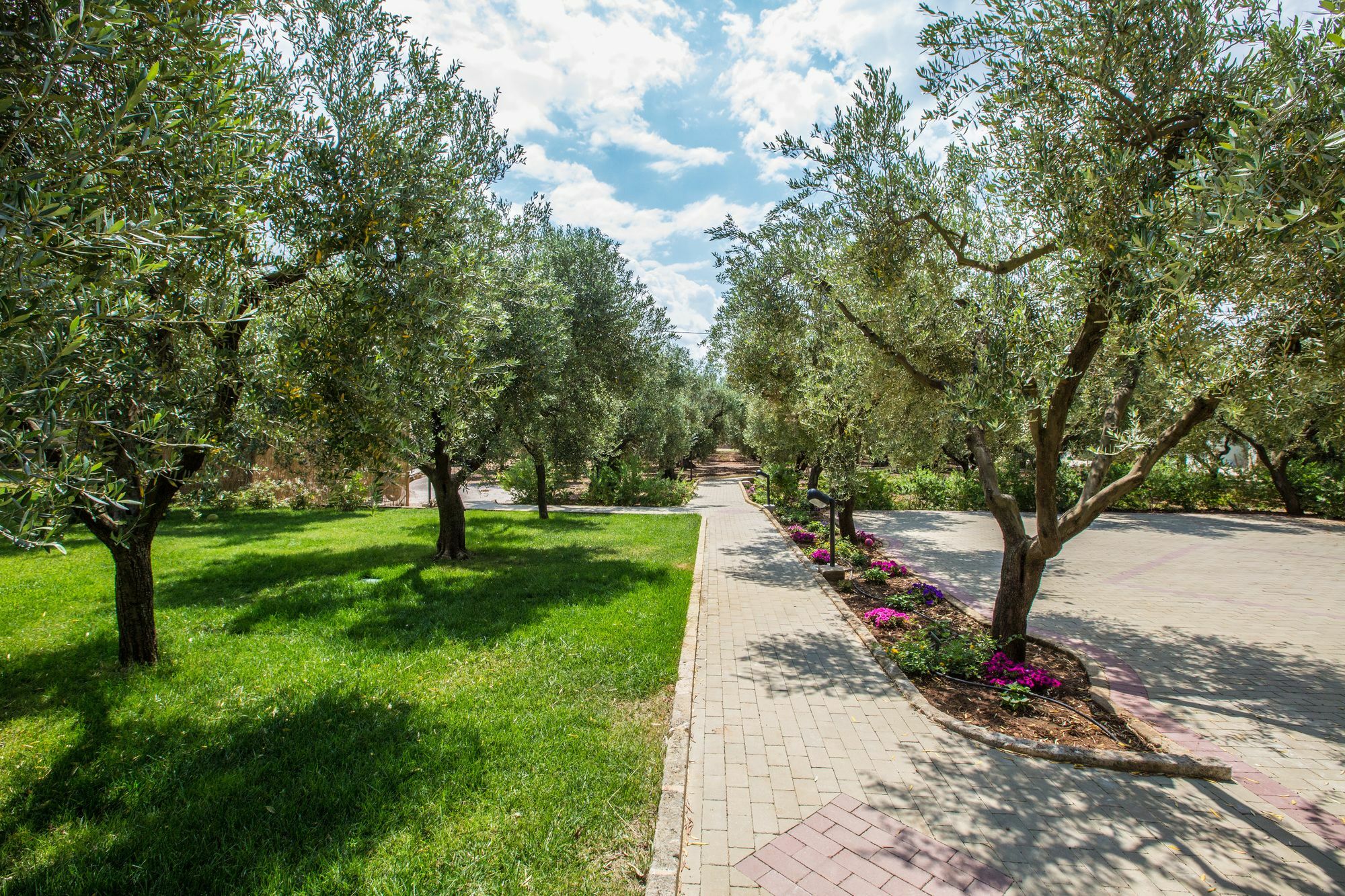 טורה סן ג'ובאני אוג'נטו Dimora Tenuta Solentino מראה חיצוני תמונה